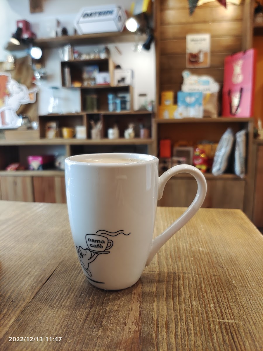 Cama Cafe Hsinchu Big City Shop-5